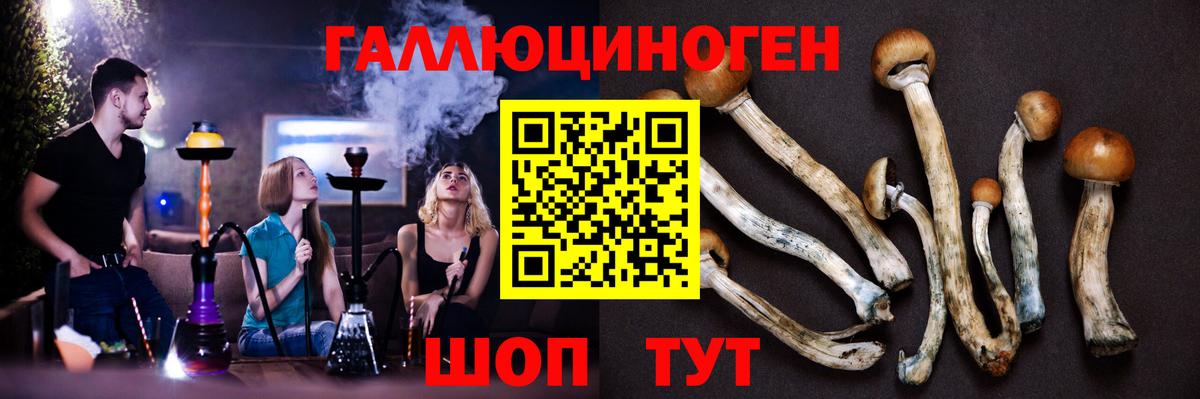 Заволжье  Галлюциногенные грибы ЛСД  Вход с VPN 